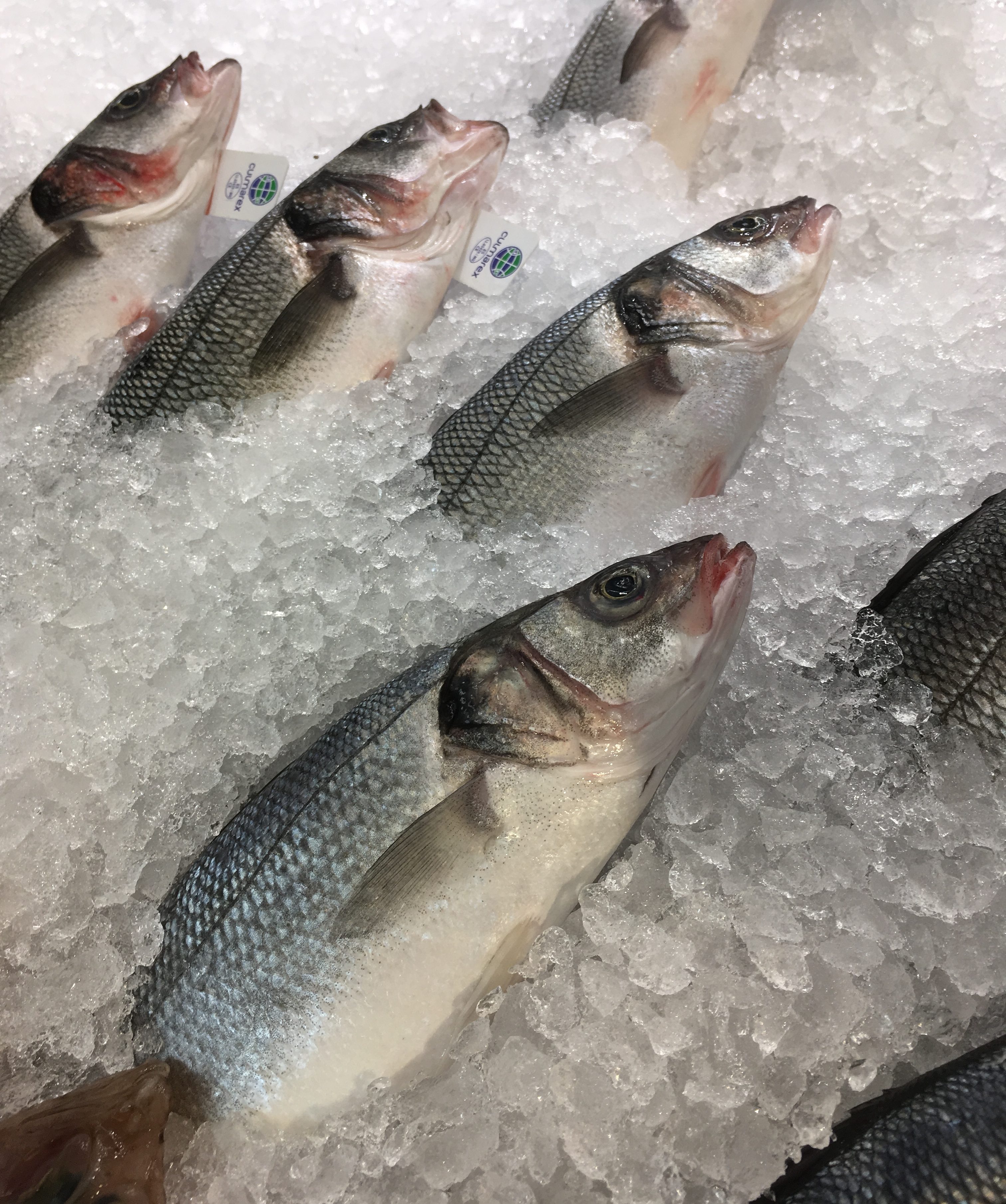 Cinco consejos para comprar pescado fresco
